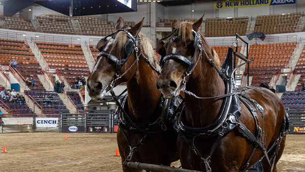 E-news Updates – January 10, 2026